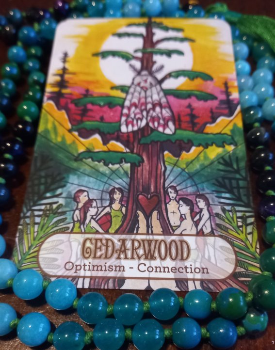 Cedarwood