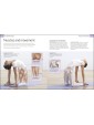 Yoga Your Home Practice Companion by Sivananda Yoga Vedanta Centre