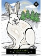 The Animal Elders Oracle : 44-Card Deck & Guidebook of Indigenous Wisdom & Healing Medicine by Asha Frost 