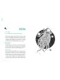 A-Z of Animal Symbolism by Thiago Bianchini & Aurore Pramil