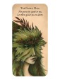 Forest Fae Messages : Curious messages of enchantment by Nadia Turner
