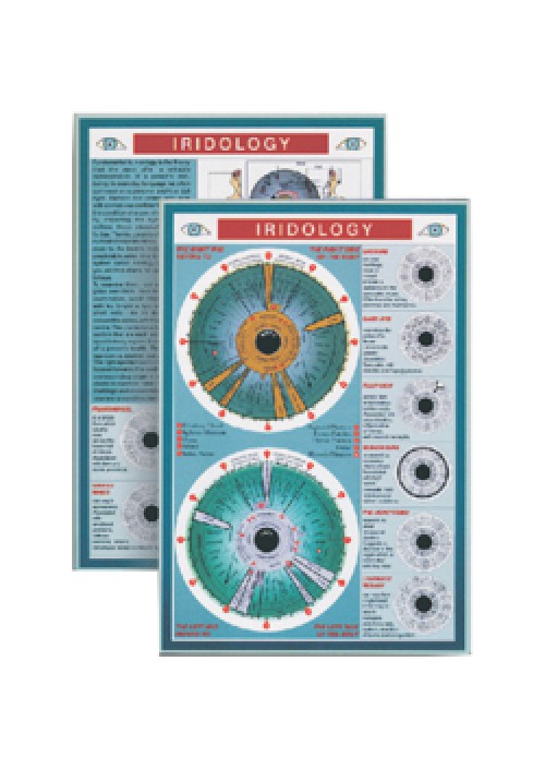 Iridology Mini Chart