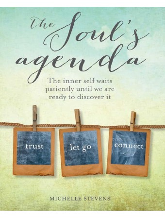 The Soul's Agenda by Michelle Stevens