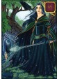 Dreams of Gaia Tarot Pocket Edition by Ravynne Phelan 
